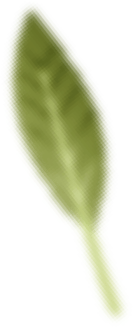 leaf 2